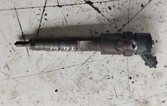 Renault Scenic I Fuel injector 0445110146