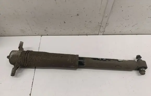 KIA Niro Rear shock absorber/damper 55307AO200