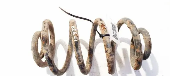Opel Zafira B Rear coil spring 