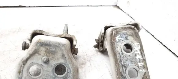Citroen Jumpy Front door hinge set 