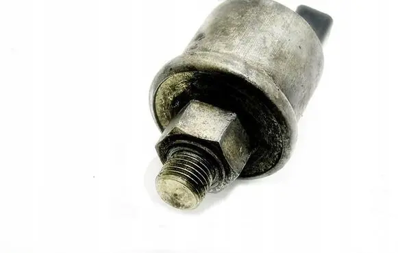 Peugeot Boxer Detonation knock sensor 7580895514