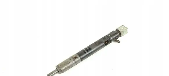 Renault Kangoo I Fuel injector EJBR05101D