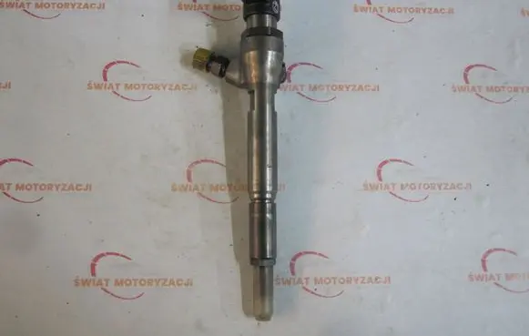 Nissan Bluebird Sylphy II Fuel injector H8200294788