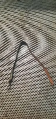 Fiat Ducato Negative earth cable (battery) 1NW009A9