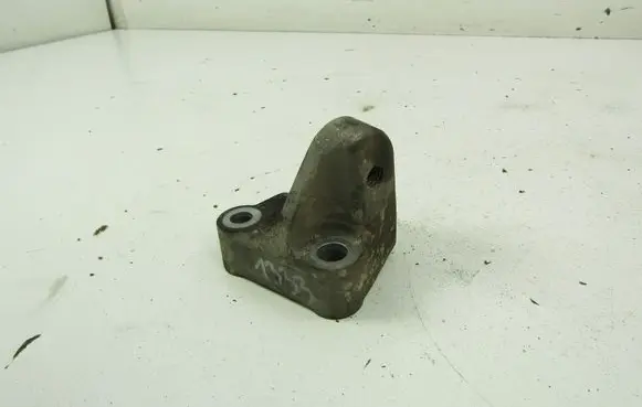 Renault Laguna III Engine mounting bracket 113320008R