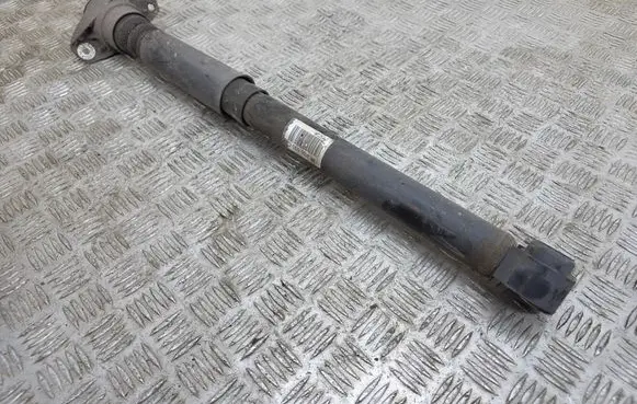 Rear shock absorber/damper
