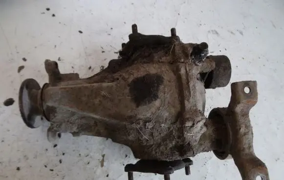 Toyota RAV 4 (XA30) Rear differential