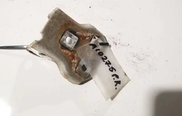 Rear door lower hinge