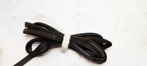 Nissan Murano Z50 Rubber seal front coupe door 