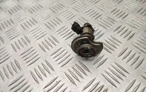 Hyundai Tucson IV NX4 AdBlue injector 296302U000