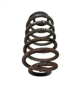 Rear coil spring
