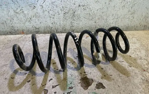 Rear coil spring