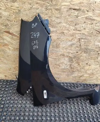 Fiat Punto Evo Fender
