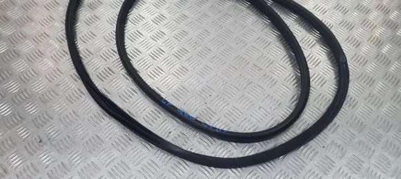 Infiniti Q60 Rubber seal front coupe door PU11099