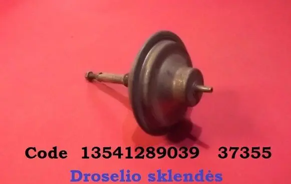 Vacuum valve