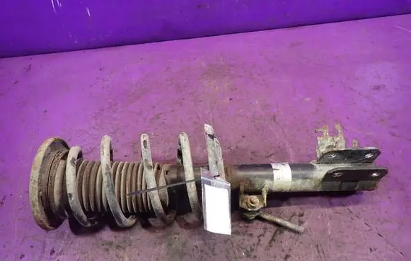 Opel Signum Front shock absorber with coil spring 