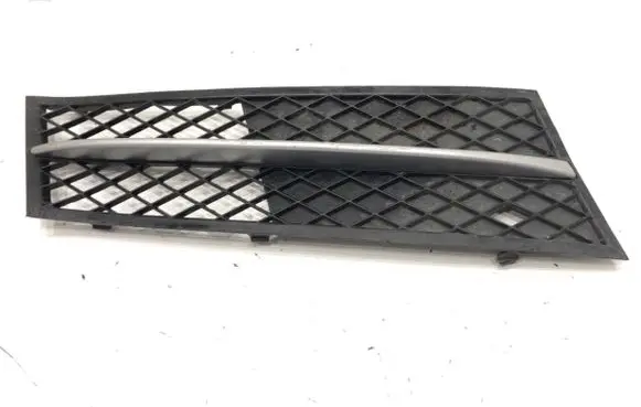 BMW 5 F10 F11 Front bumper lower grill 7200700