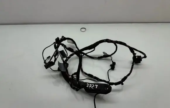 BMW 3 E90 E91 Front door wiring loom 6925548