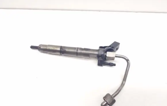 Mercedes-Benz CLS C219 Fuel injector A6420701987