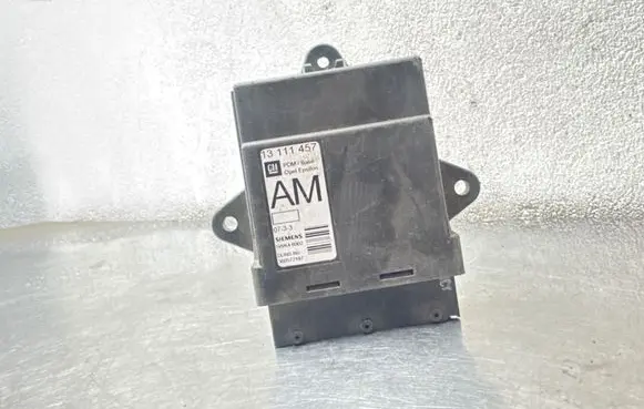 Opel Vectra C Door control unit/module 13111457