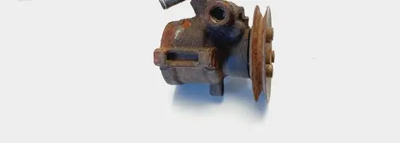 Volkswagen Golf III Power steering pump 027145255