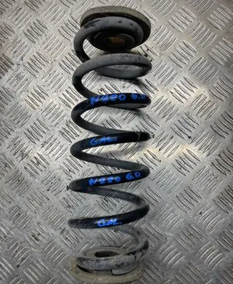 Rear coil spring