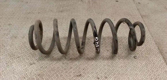 Volkswagen PASSAT B6 Rear coil spring 
