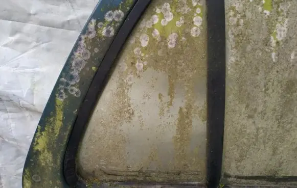 Renault Clio I Rear vent window glass 