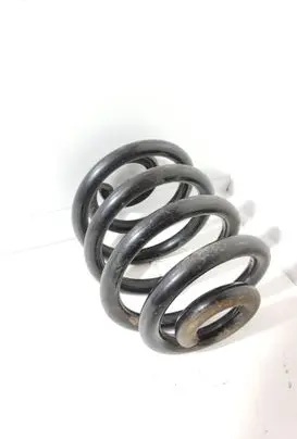 Volkswagen Multivan T4 Rear coil spring 74072 T418342