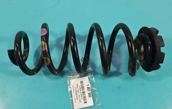 Rear coil spring