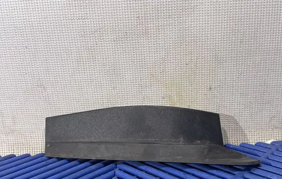 Rear/tail light trim molding