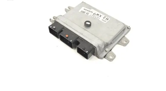 Nissan Juke I F15 Engine control unit/module NEC999070