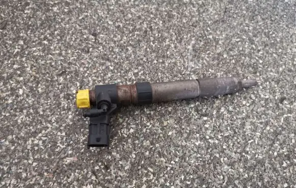 Land Rover Freelander 2 - LR2 Fuel injector 0445115042