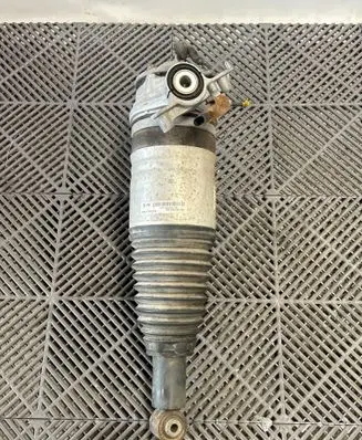 Porsche Cayenne (92A) Rear shock absorber/damper 7P5616504BB