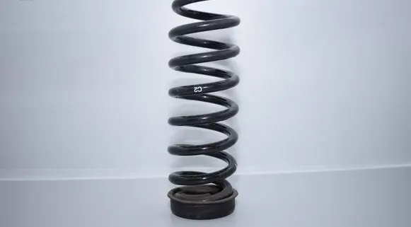 BMW 1 E81 E87 Rear coil spring 6764419