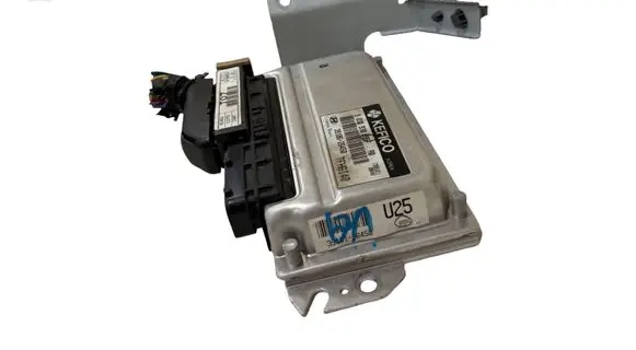 Hyundai Getz Engine control unit/module 3910626450