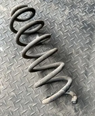 Rear coil spring