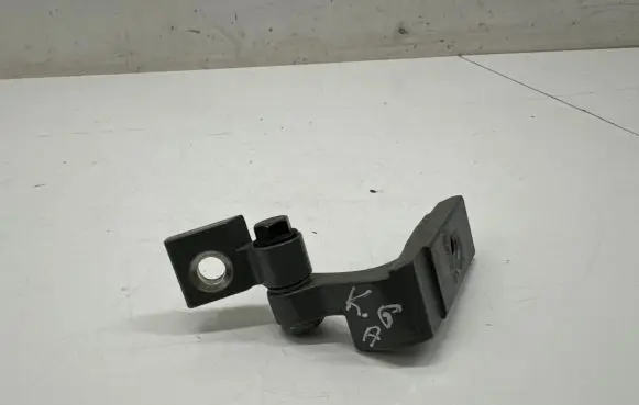 Mini Cooper Countryman F60 Rear door lower hinge 7246063