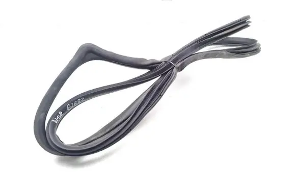 Hyundai Ioniq Rear door rubber seal (on body) 