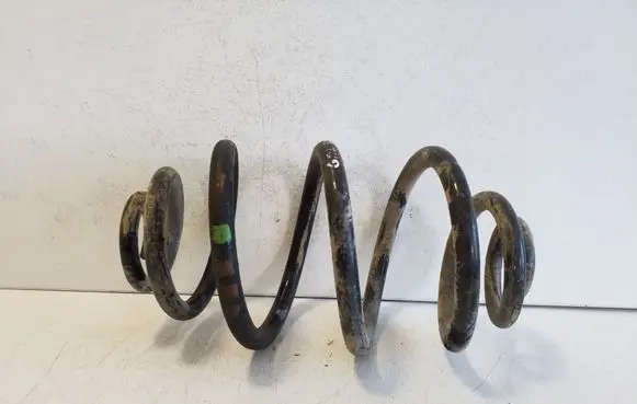 Rear coil spring