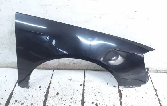 Volkswagen PASSAT B6 Fender 