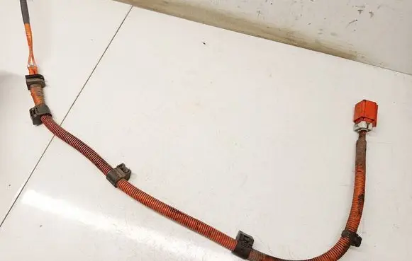 Lexus RX 300 Other wiring loom 