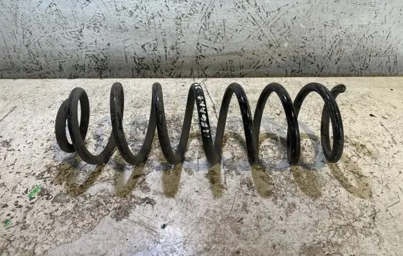 Renault Megane II Rear coil spring