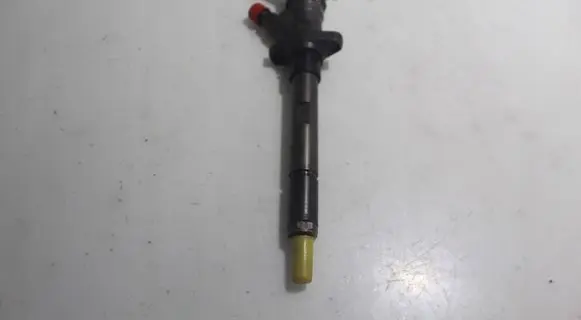 Citroen C5 Fuel injector 0445110036