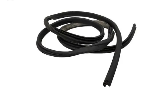 Ford S-MAX Rear door rubber seal (on body)
