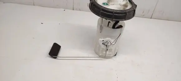 Renault Kangoo II In-tank fuel pump 172027726r 8200183136