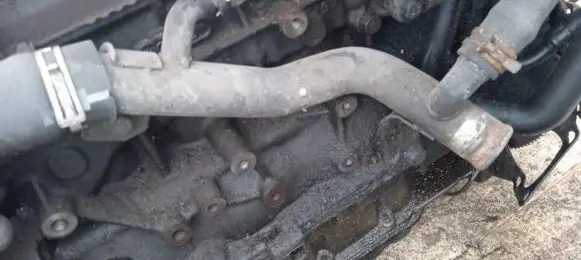 Ford Focus Engine coolant pipe/hose