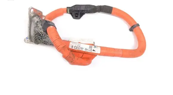 Lexus NX Other wiring loom G114848070B