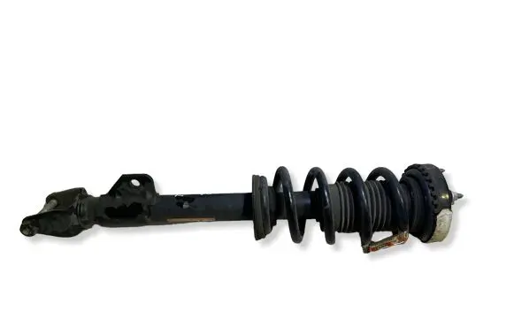 Dodge Charger Front shock absorber/damper P68072065AD