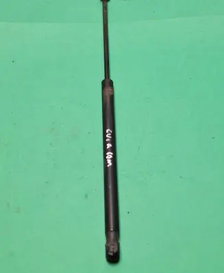 Tailgate/trunk strut/damper